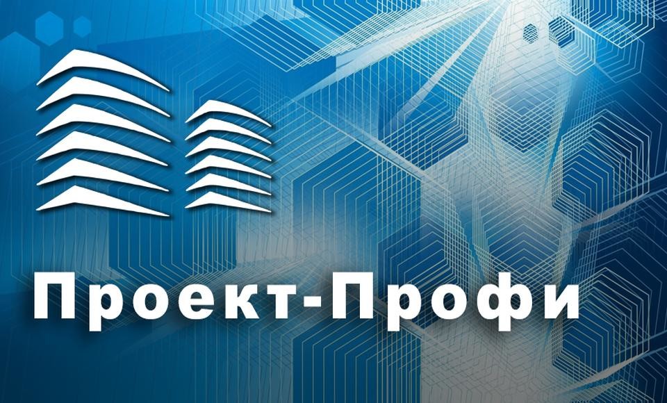 Студия Проект-Профи