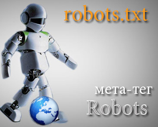 файл robots.txt для сайта